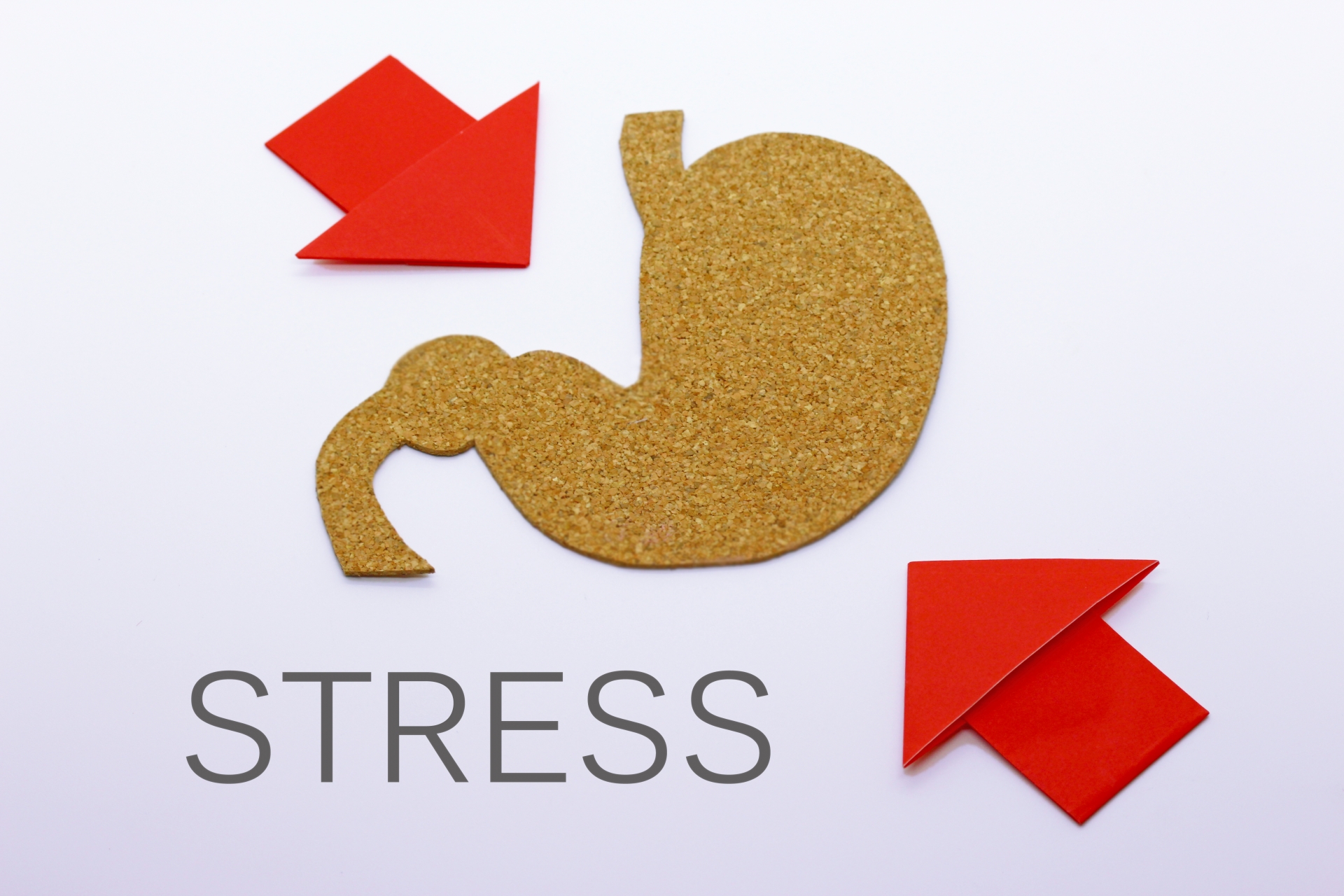 ストレスによる急性胃炎